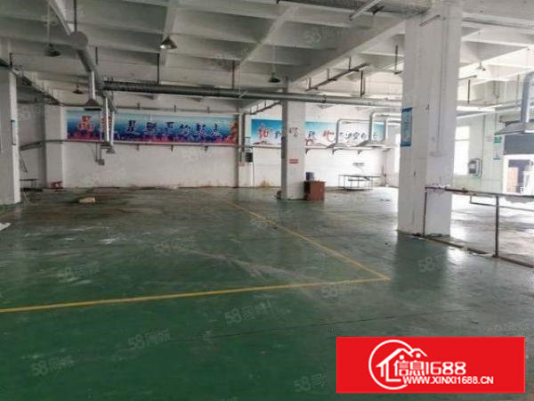 塘厦莲湖独院一楼500平米标准厂房出租，面积实在，水电主线到