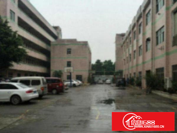 高埗标准厂房一楼800平方带办公室、5米高、消防齐全