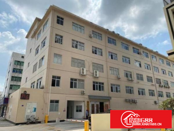 横岗六约300平电商仓库出租