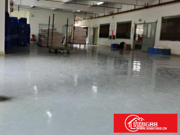 茶山新出原房东小独院6400平方厂房出租，带现成办公室水电