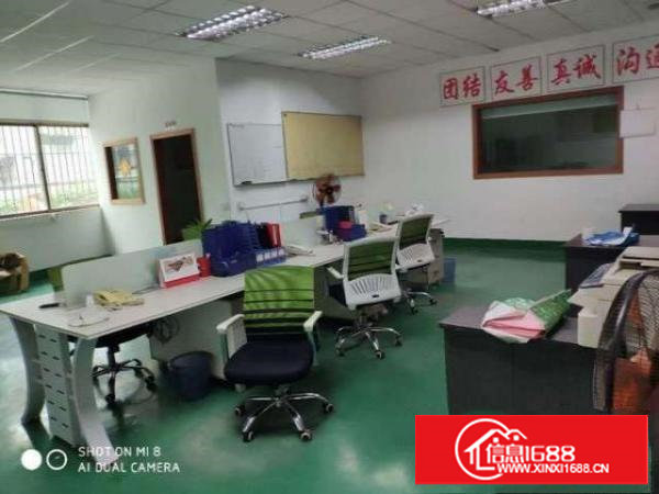 原房东（新出）长安乌沙新安大桥附近480平带装修厂房