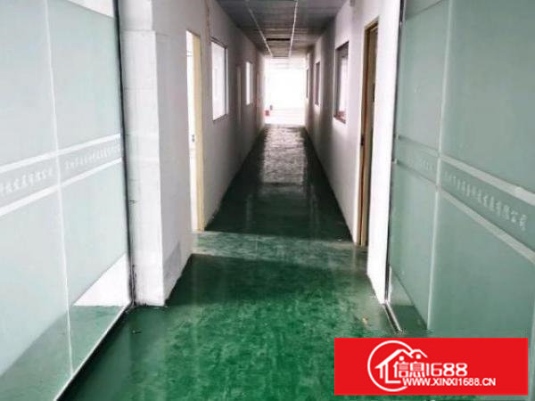 南联爱联同乐新生厂房出租200平米到3000平米