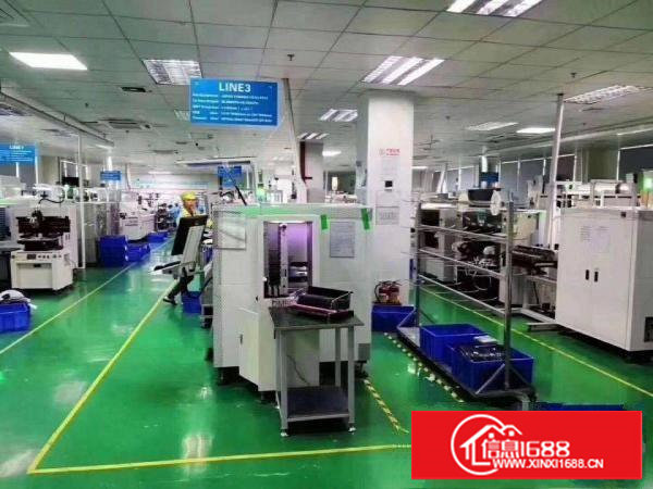 塘厦清溪原房东独院厂房出租2000平，空地超大，带环评