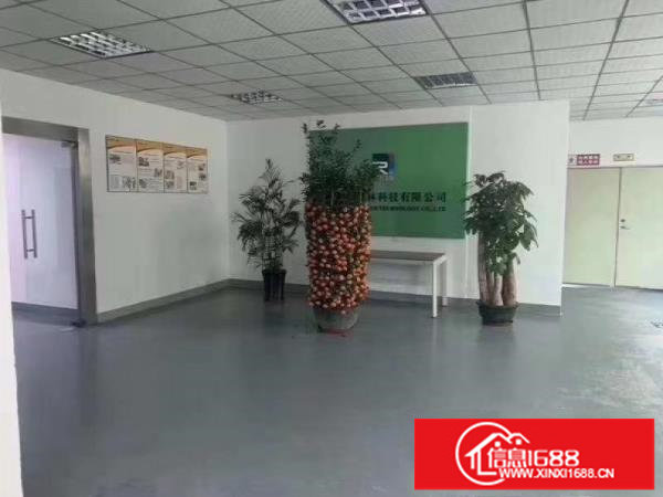 坂田五和独栋3楼600平方带厂房出租，配电充足门口空地大