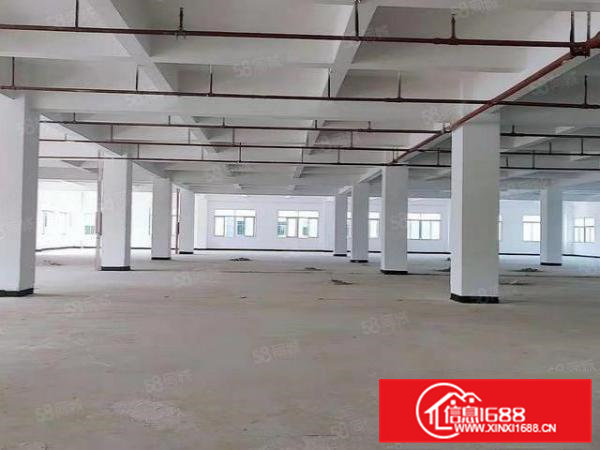 整栋厂房3300平，共两层，1661平层，带货梯，层高6米