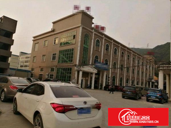 桥头大洲新出原房东一楼整层2000平方带精装修办公室出租