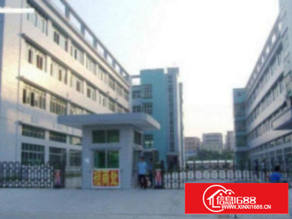 万江标准1400平方600或1200㎡出租