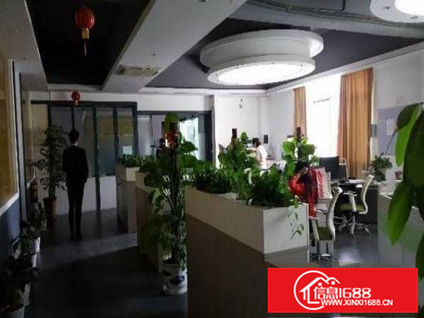 惠州新圩新出独院厂房8000平方,带精装修办公室