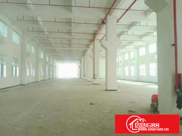 大岭山大塘新建厂房每层2350平带牛角消防喷淋