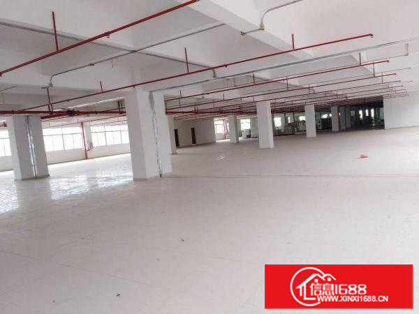 惠州市仲恺沥林高速路口12000平方全新标准厂房