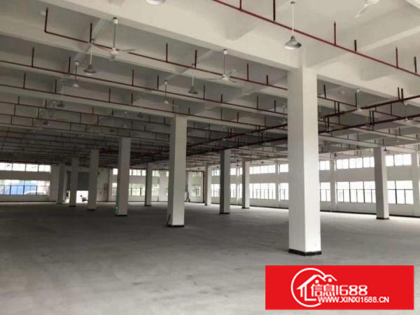 仲恺沥林厂房出租标准厂房三层共4350平