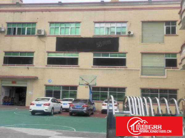 原房东独院！平湖华南城独院厂房5200平方出租，无公摊带红本