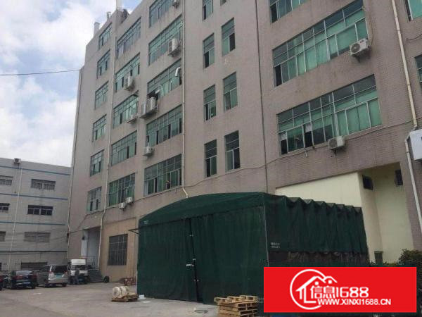 坪山坑梓新出带装修600平厂房出租