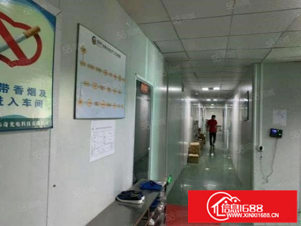 楼上厂房出租，精装修办公室，水电齐全