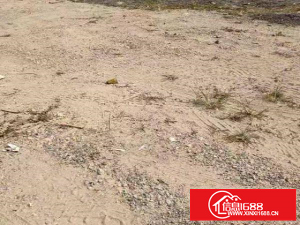 龙华观兰独院空地约8000平方不限行业