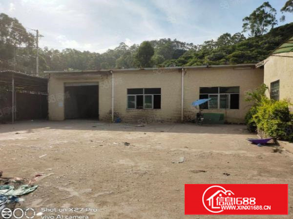 塘厦龙背岭新出小独院1600靠山边可做污染噪音展柜家具等