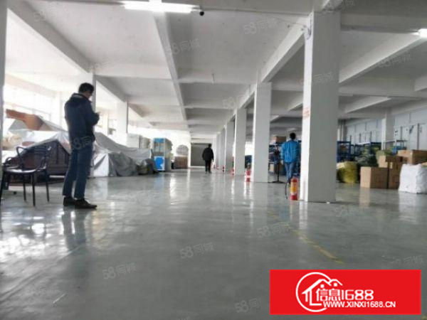 顺德伦教新出1楼厂房1000方，方正实用，一手房东，不拆迁