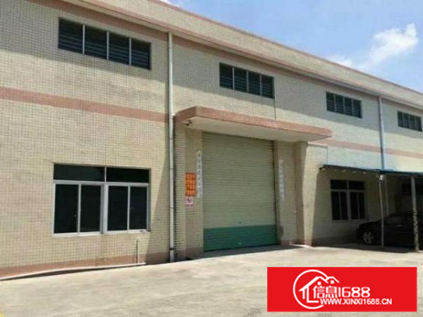 原房东低价出租！容桂细滘路简易1300平方，带红本厂房