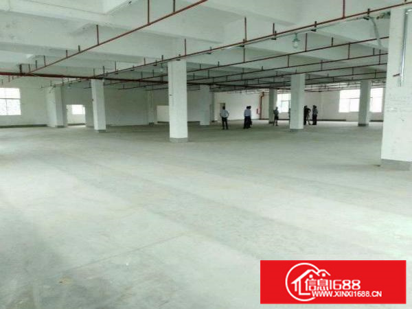 惠阳秋长原房东独院标准厂房一楼1700平带精装