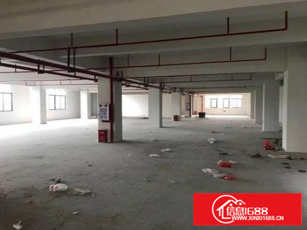 塘夏石鼓，楼上1320平方标准厂房，现成水电办公室，租14块