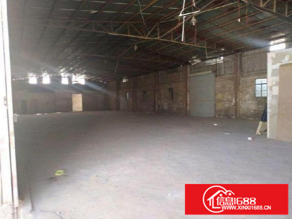 平湖鹅公鹅铁皮房一楼866平米大小分租