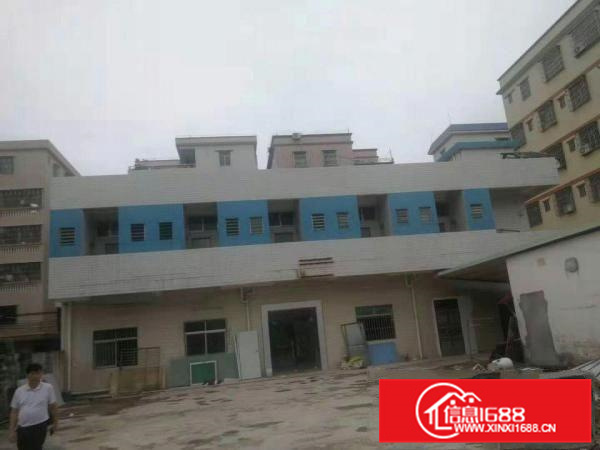 潼桥4300平米独院厂房出租可分租