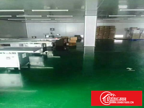 坪地无尘车间2000平方配装修办公区出租