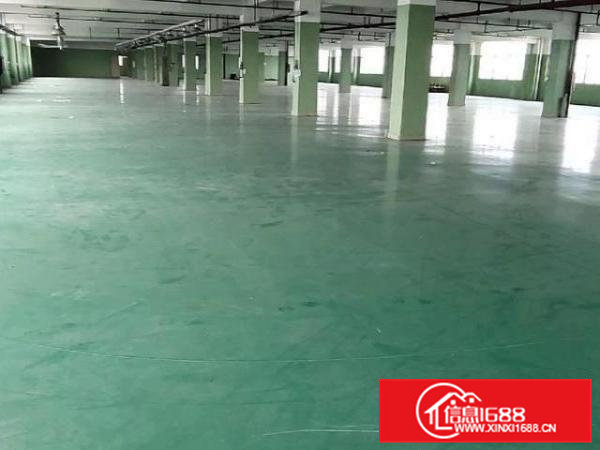 标准厂房，独门独院，距离高速路口1公里，