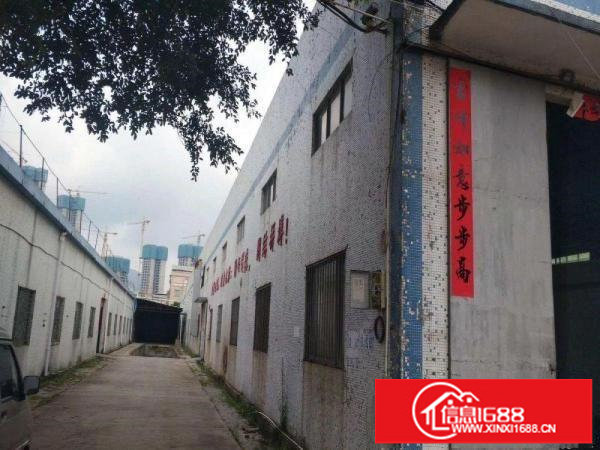 坪山10米高钢结构厂房2400平米超大空地大小分租