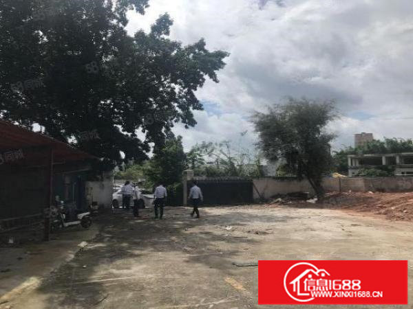 观澜章阁主干道边独门独院钢构厂房2600平