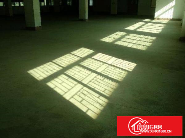 原房东标准厂房1000平方！现成办公室水电