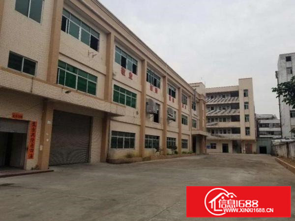 横沥镇原房东独院13层5000平招租，空地大，形象好