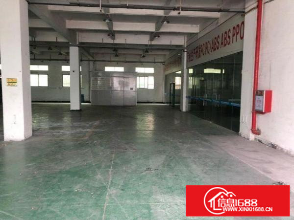 企石原房东混凝土标准厂房出租（可分租）