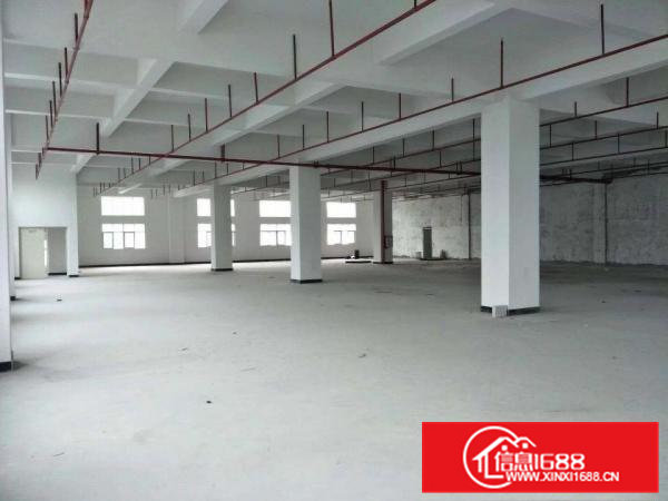 虎门怀德新出一全新14000平厂房