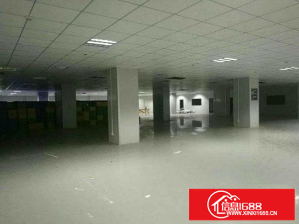 凤岗新出二楼厂房1350平方现成地坪漆的吊顶