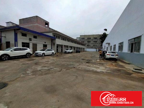 清溪三中原房东单一层7米高独门独院厂房出租可分两独院