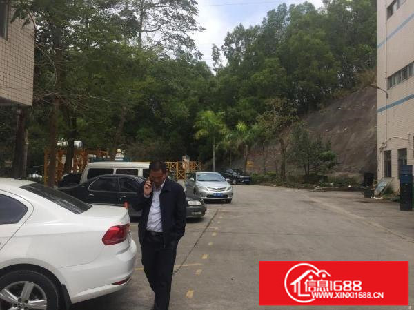 坪山碧岭新出原房东1~2层2800平米厂房急租