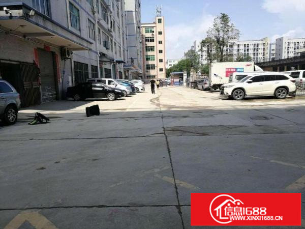 坂田上雪红本厂房一楼1300平，层高6米，可分租