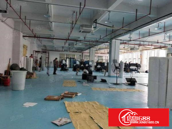 塘厦四村独院标准3楼1280平方！电子车间！干净整洁装修