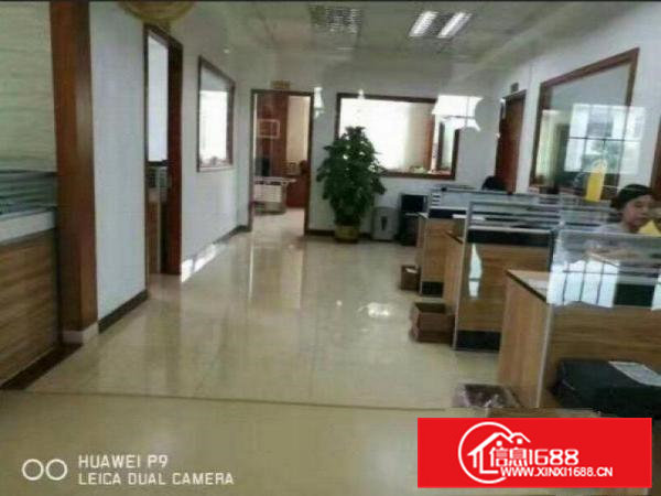 清溪(一手房东)大小独院厂房出租