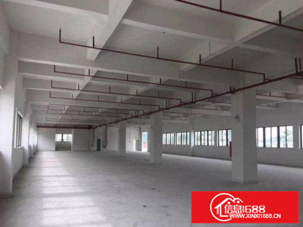 东莞清溪三中二楼1300平米厂房出租