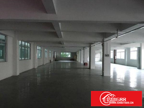 横沥村头标准厂房楼上厂房800平原房东火热招租