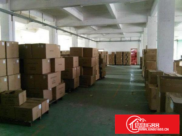 常平新出标准独院4500平米出租