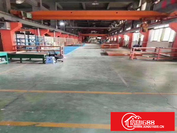 6米高！带地坪漆！现成行车！坪山新出一楼1000平红本厂房