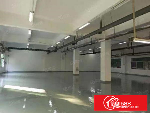 樟木头标准一楼800平方带全新地板漆厂房出租