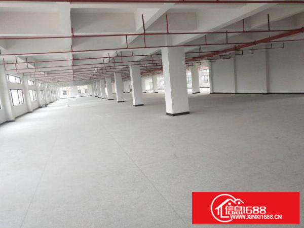 企石镇新出原房东厂房招租