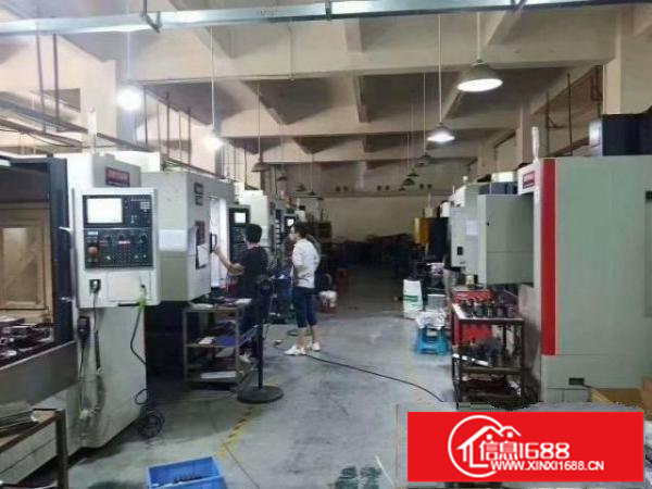 新出1楼600平，2楼240平，适合五金模具加工等行业