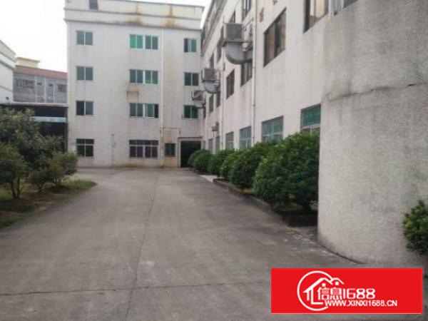 石排中坑村厂房招租现成装修水电齐全500平