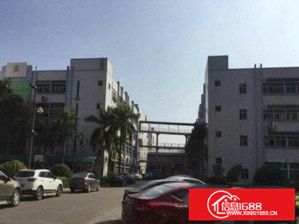 横沥村尾真实房源！独门独院3000平厂房