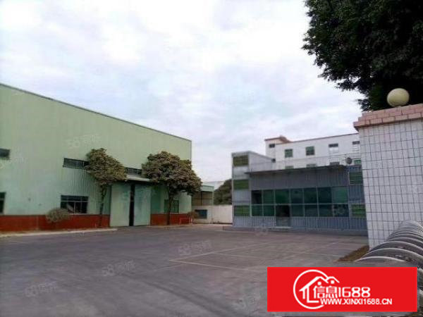 塘厦近清溪新出钢构4500平方，原房东厂房滴水9米中间无柱